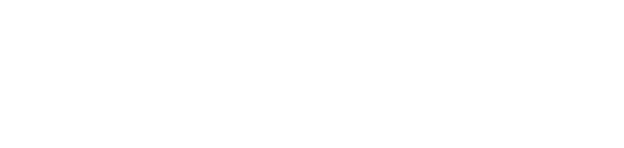 logo staufen